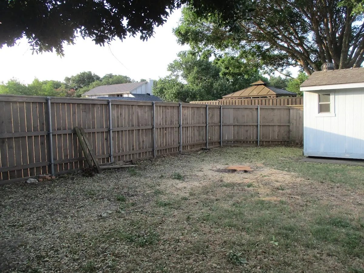 Cleared yard after professional tree removal in Crown City